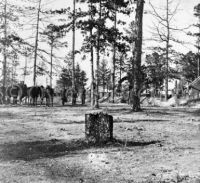 General Birney's Head Quarters