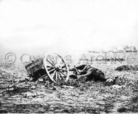 Dead horse on battlefield, Gettysburg