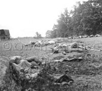 Dead Confederate soldiers at Gettysburg