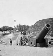 Gun on the Point Battery, Charleston