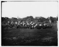 Wagon train at Richmond, Va