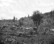 Little Round Top, 