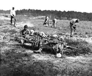 African Americans collecting bones of dead soldiers