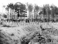 Camp of 27th U.S. Colored Infantry