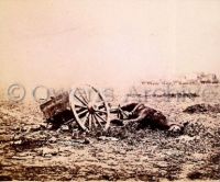 Dead horse on battlefield, Gettysburg