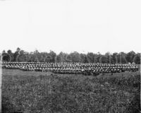 Large war wagon park at Brandy Station