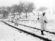 101st Airborne on Scouting Mission, Bastogne