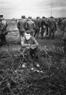 Captured German Prisoners at Anzio Beachhead