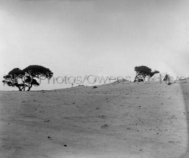 Wright Brothers Camp at Kitty Hawk 1901