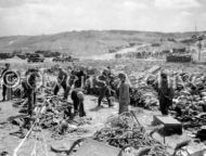 Omaha Beach After D-Day, June 7, 1944