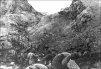 US Troops haul supplies to the front 