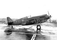 Curtiss P-40 Warhawk 