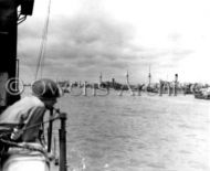 Gooseberry at Omaha Beach