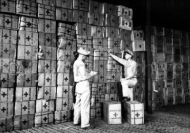 Red Cross field men shipping boxes to Philippines