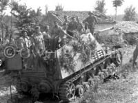 Nashorn self-propelled tank-destroyer