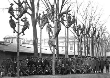 Pole-Climbing course for telelphone electricians