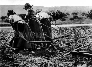 French women hitched to plough