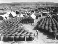 French wine barrels ready for shipping